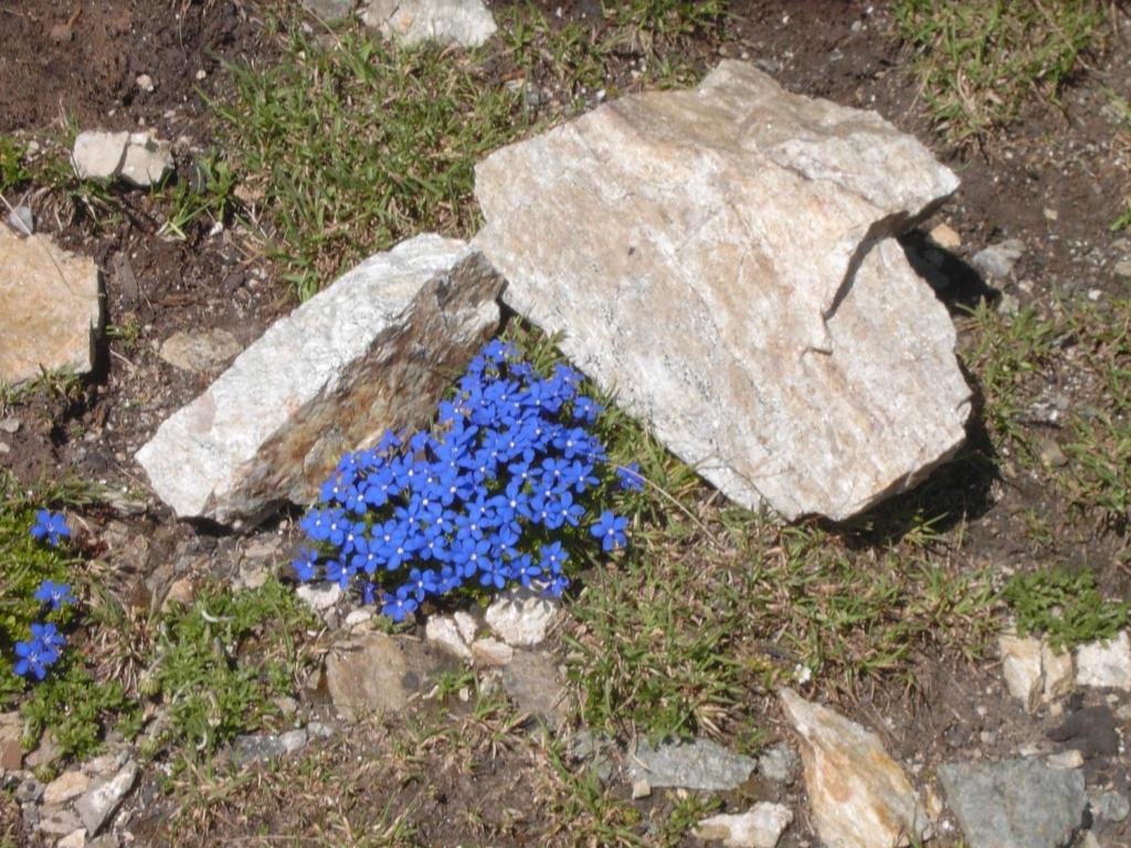 Rifugio Garibaldi Hotel Passo Stelvio Luaran gambar